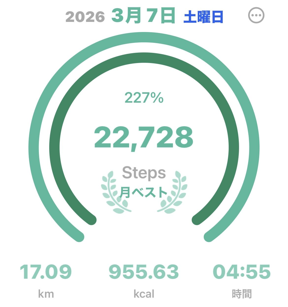今日はとても歩いた日だった