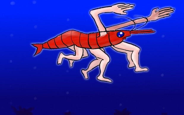エビが怖い🦐