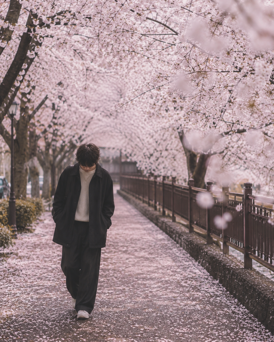 満開の桜の道を下向いて歩いているやついないでしょ？