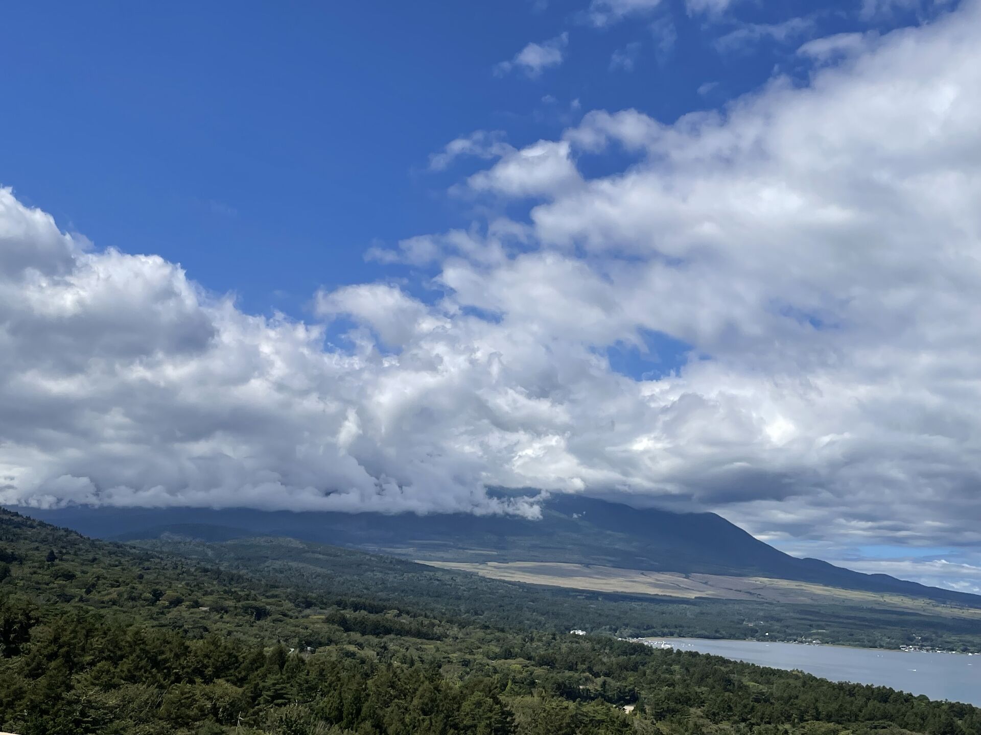 富士山見えず...🗻