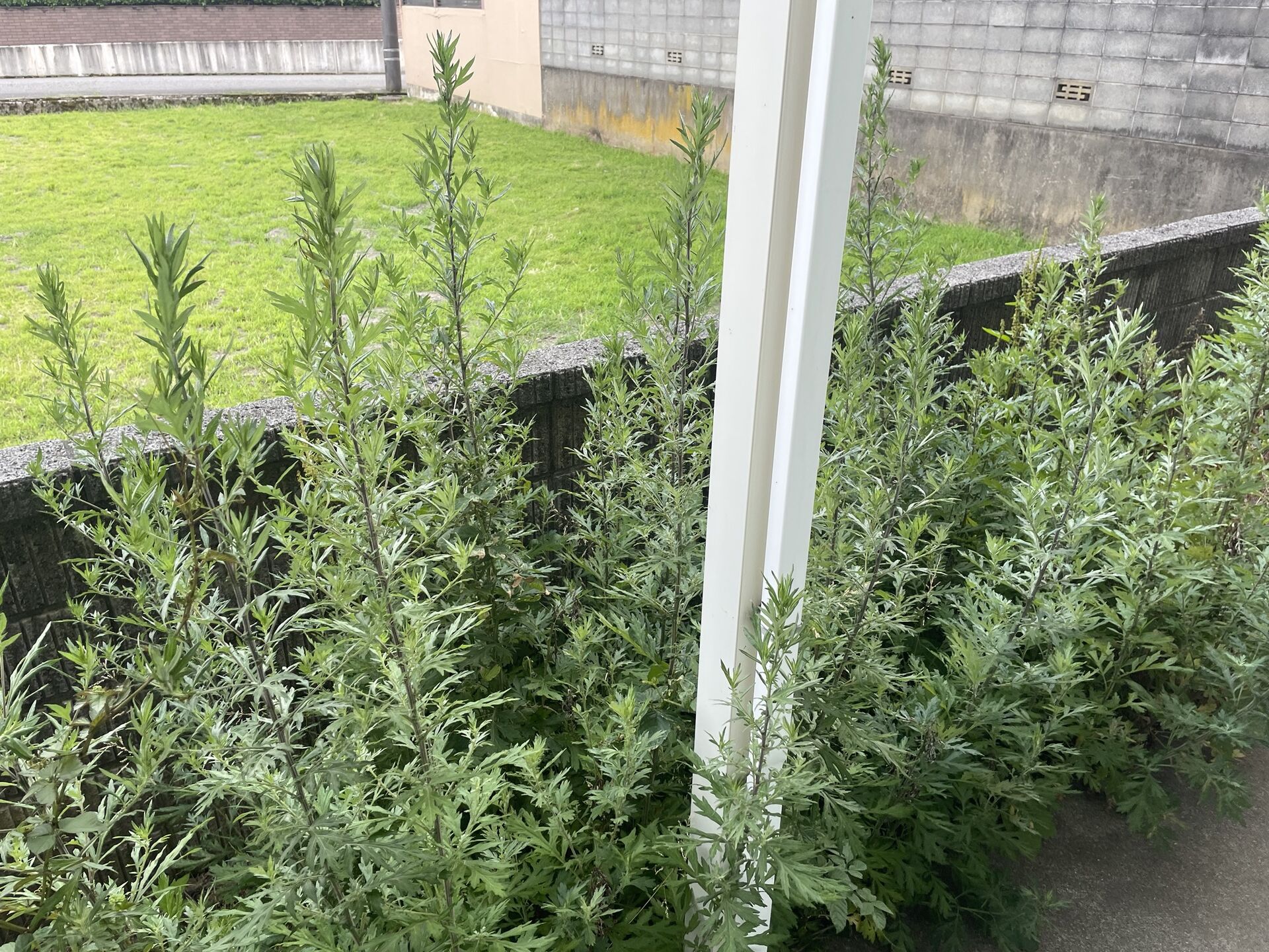 ふう・・・頑張った！！