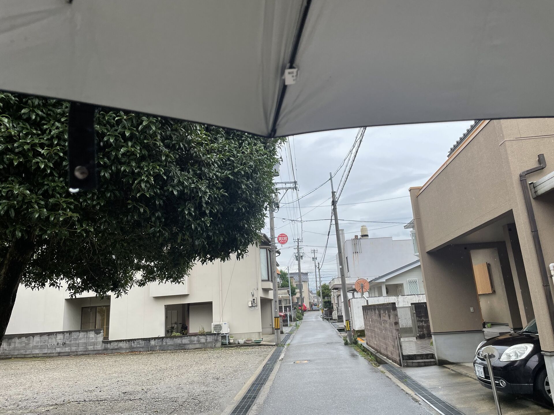 こういう日こそ