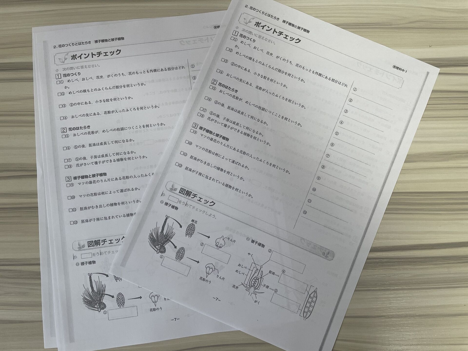 お盆も明けた？ことだし、そろそろ