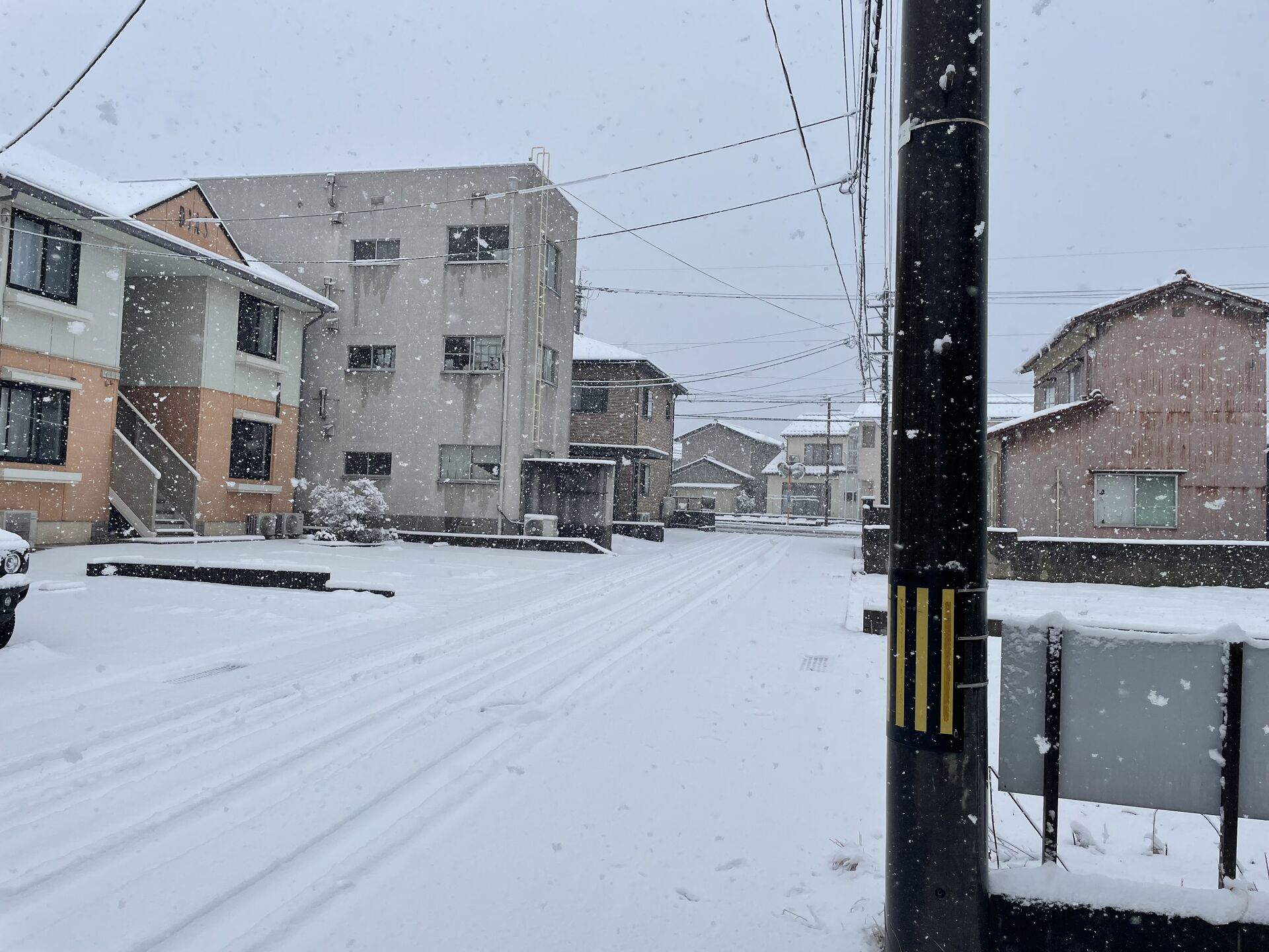 見たらわかる、積もるやつ
