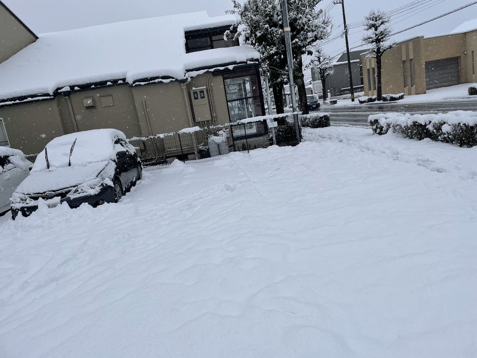 見たらわかる、積もるやつ