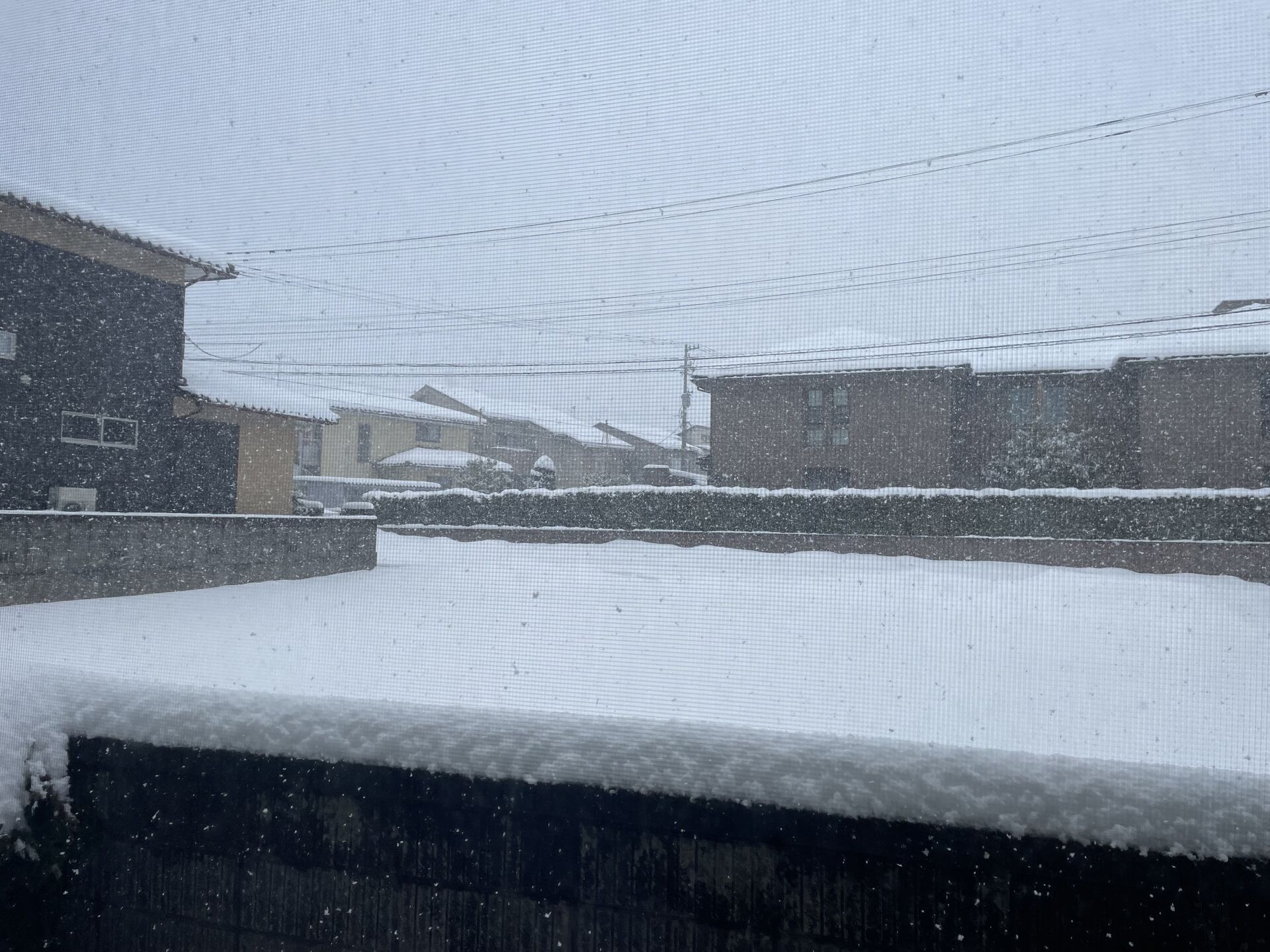おや？今日だったの