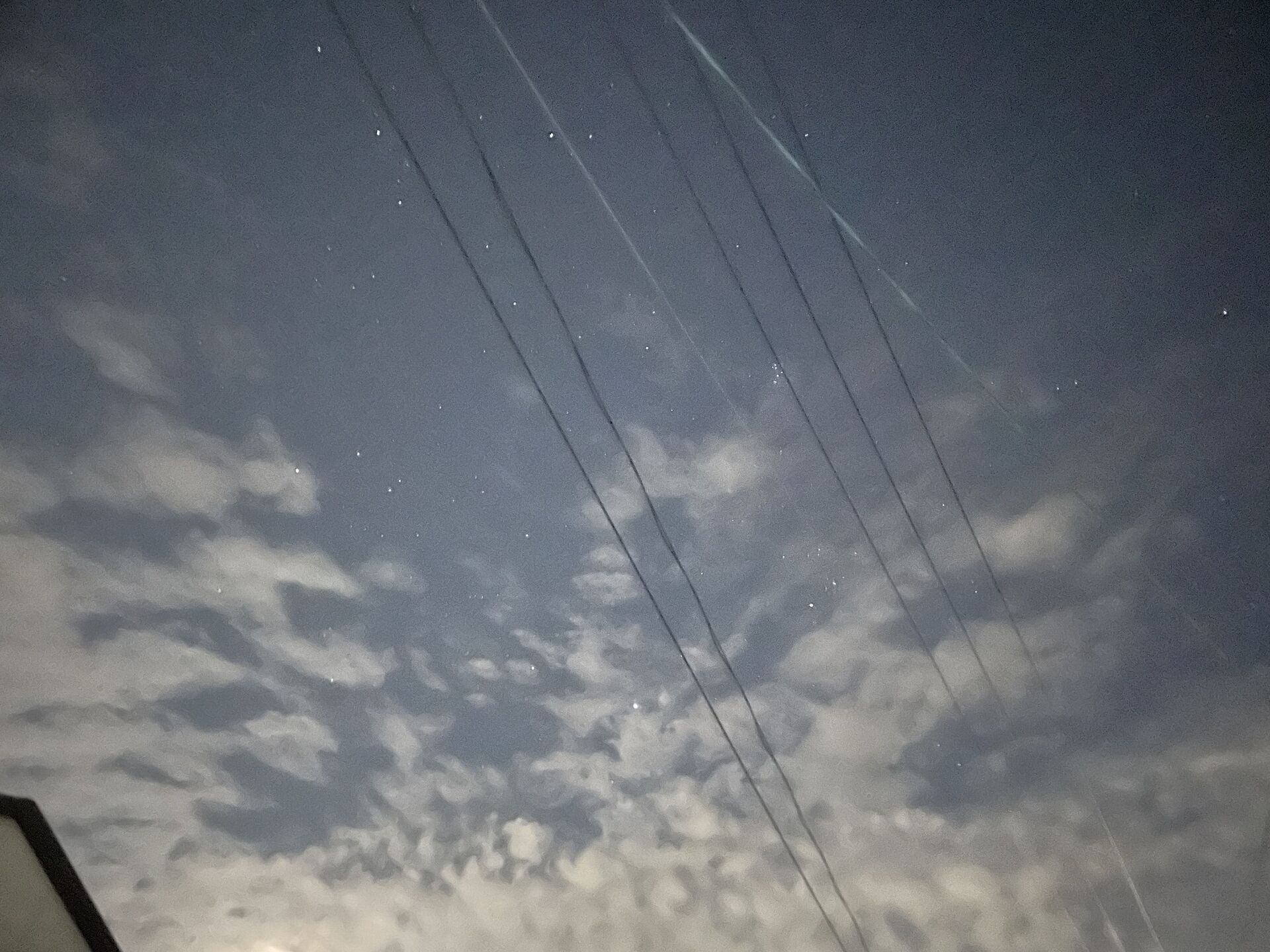 【気持ちいい時間】夜間散歩、再開だぁ！笑