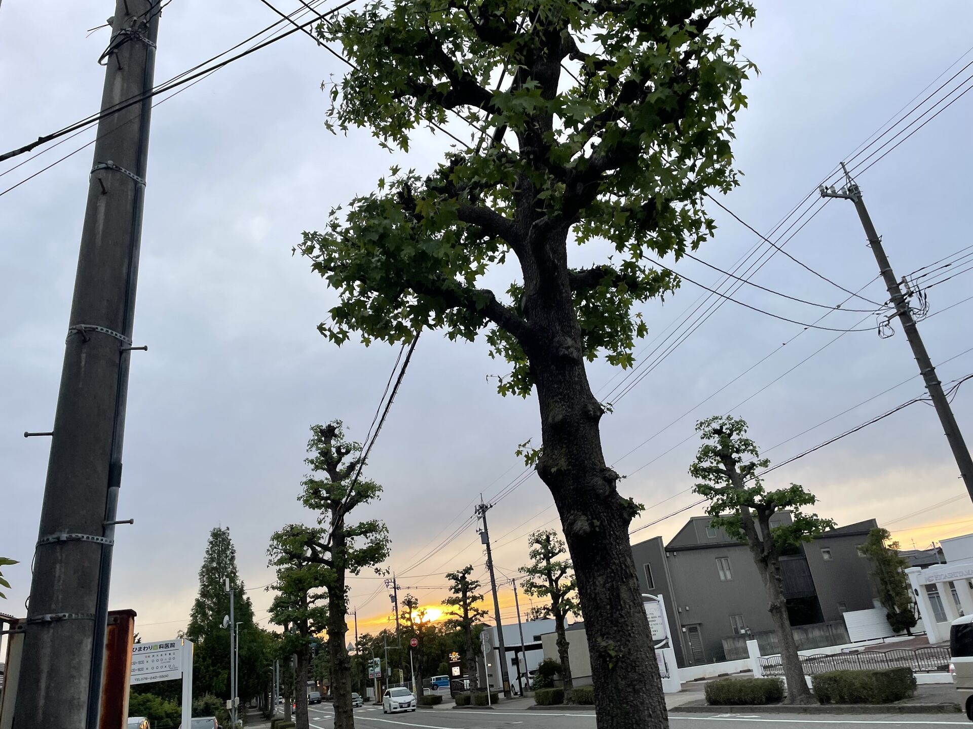 7時でも明るい