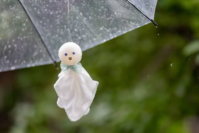 梅雨入りだ