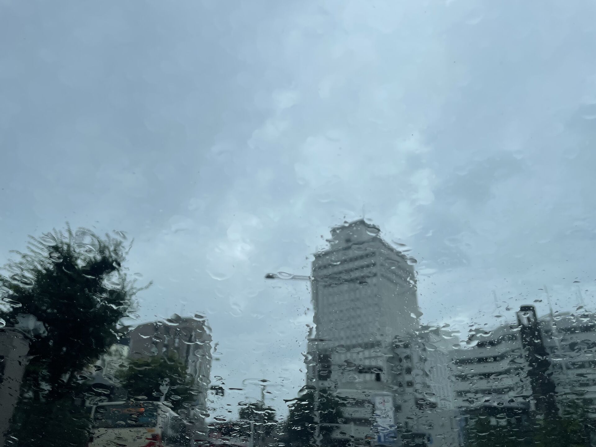 恵の雨