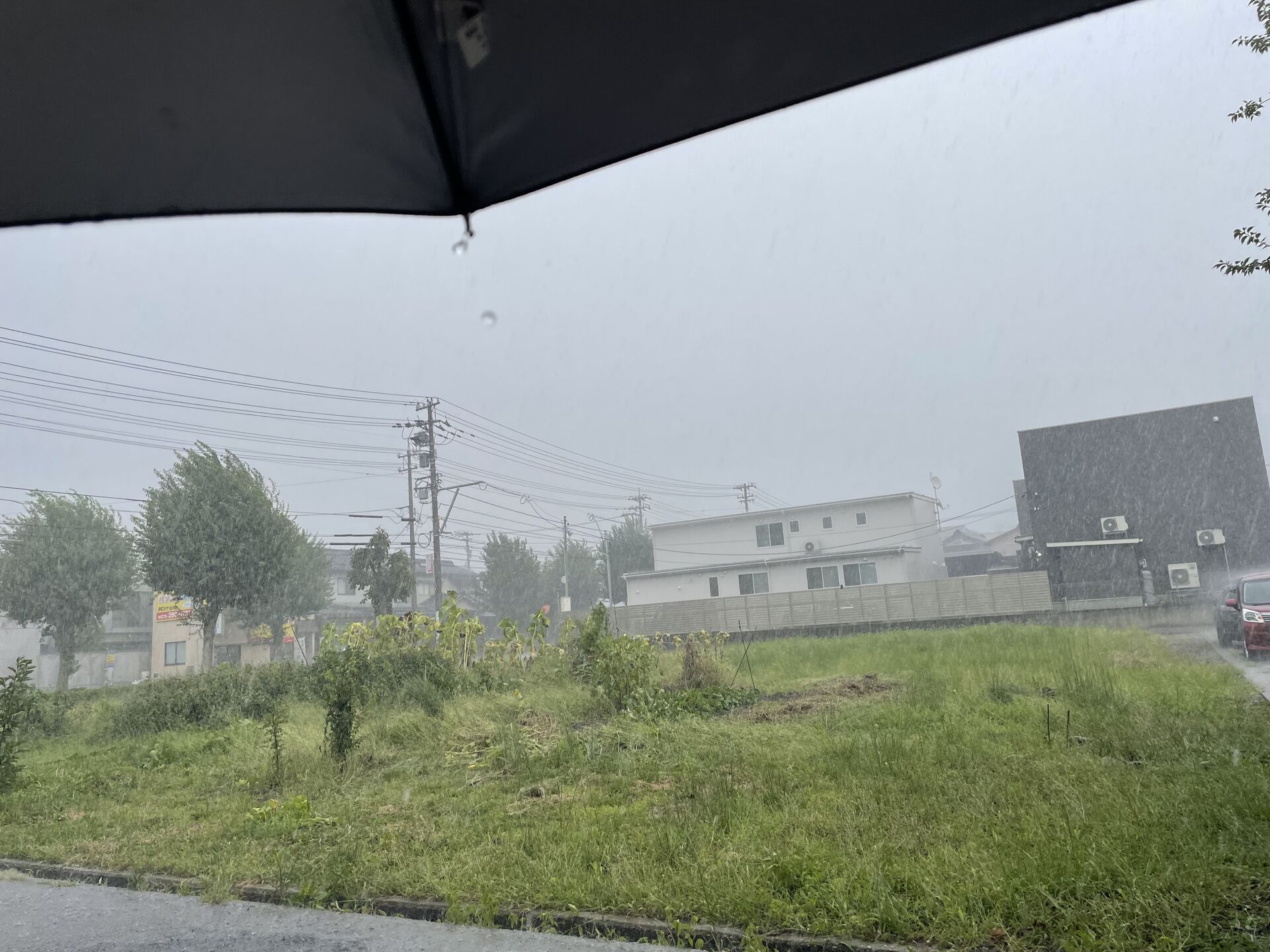 気温変動が激しいからね