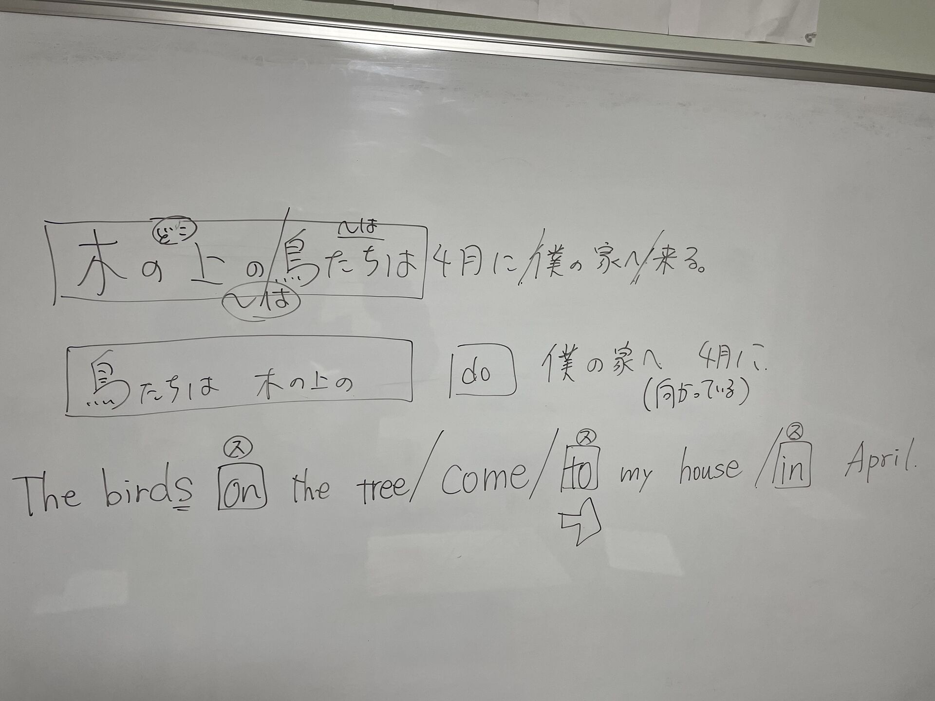 スゲェんだぜ？